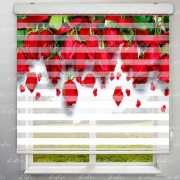 Image of پرده زبرا طرح گلهای رز قرمز کد TD-29