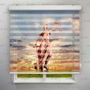 پرده زبرا طرح دفتر وکالت کد BSN-16