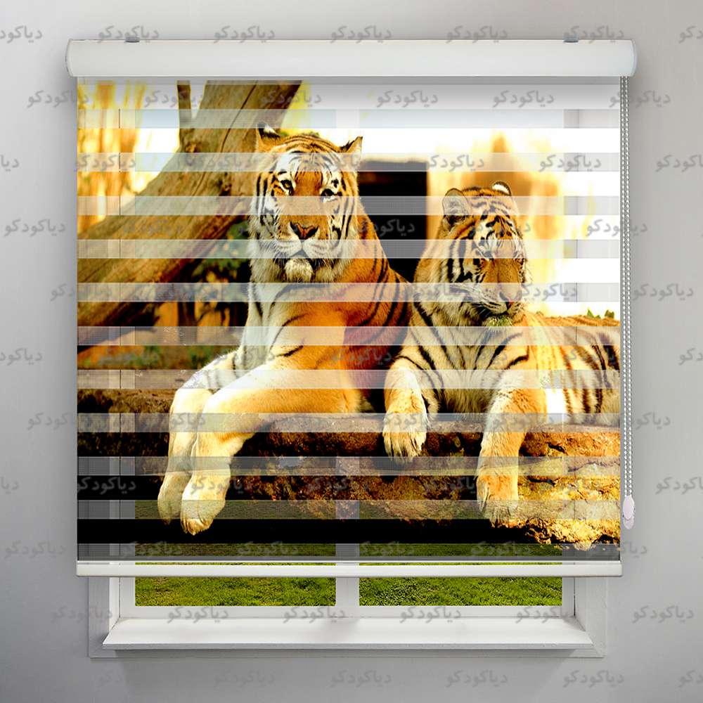 پرده زبرا طرح  ببر کد ANM-14 پرده زبرا طرح  ببر کد ANM-14