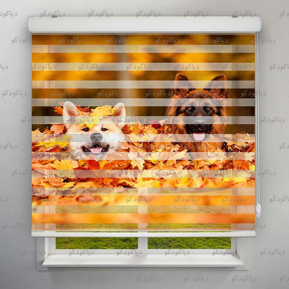 پرده زبرا طرح سگ های بامزه    کد ANM-15 پرده زبرا طرح سگ های بامزه    کد ANM-15