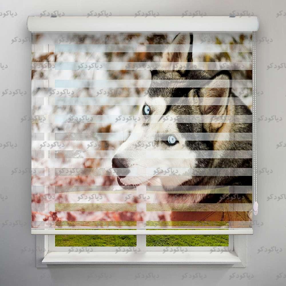 پرده زبرا طرح هاسکی   کد ANM-04 پرده زبرا طرح هاسکی   کد ANM-04