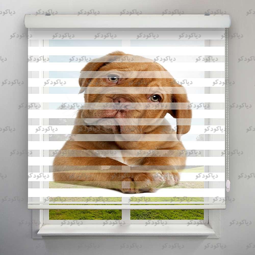 پرده زبرا طرح سگ   کد ANM-07 پرده زبرا طرح سگ   کد ANM-07