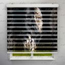 پرده زبرا طرح چهره  کد FCE-03