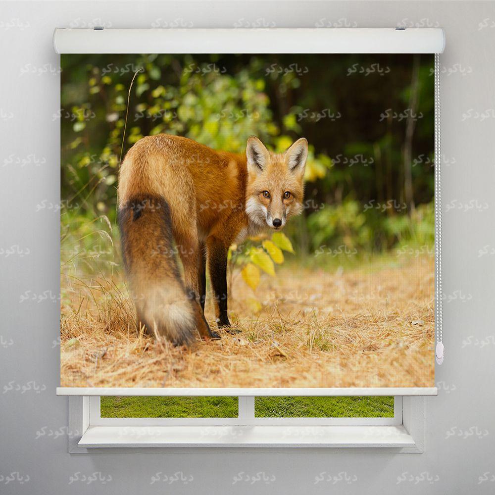 عکس محصول پرده شید طرح روباه کد ANM-11