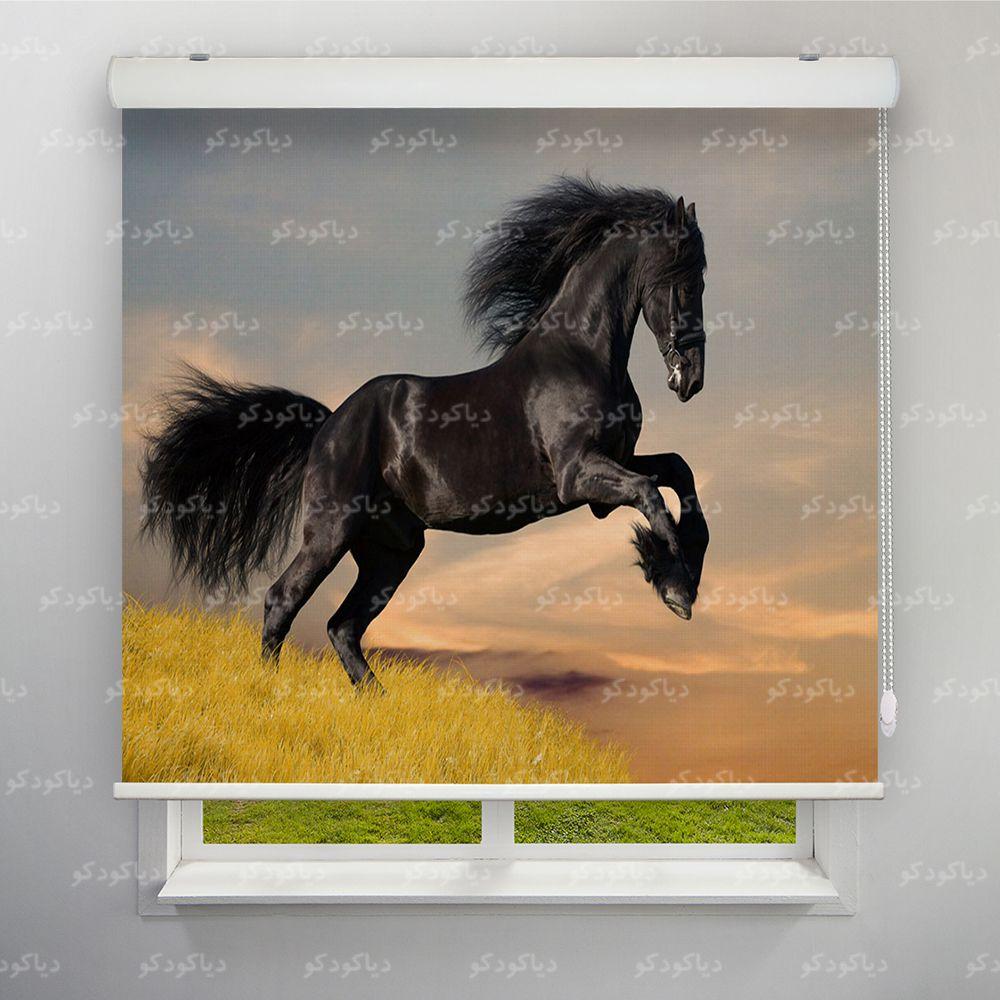 عکس محصول پرده شید طرح اسب مشکی کد ANM-12
