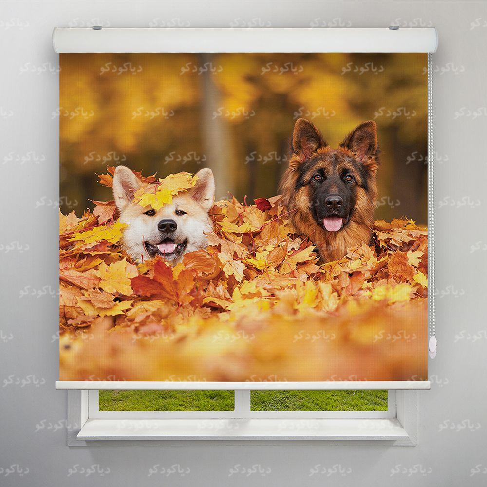 عکس محصول پرده شید طرح سگهای بامزه کد ANM-15