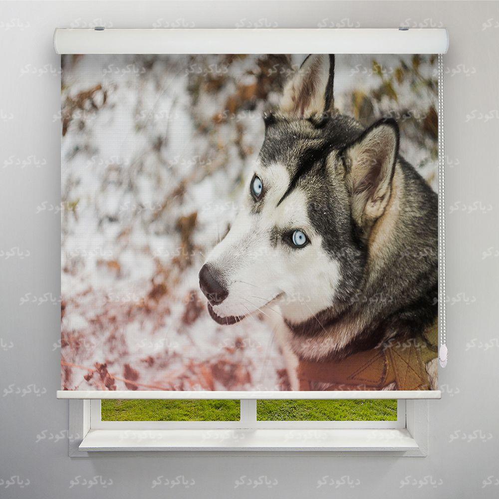 عکس محصول پرده شید طرح هاسکی کد ANM-04