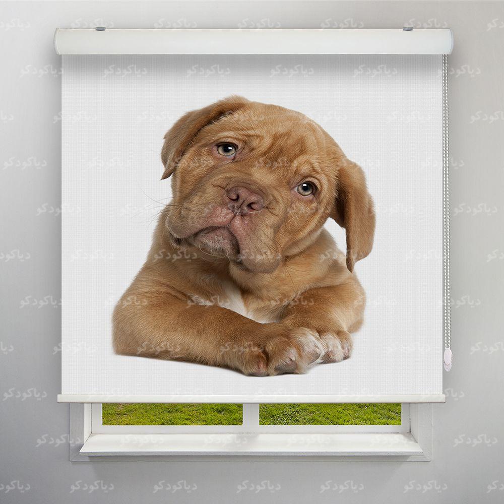 پرده شید طرح سگ کد ANM-07 پرده شید طرح سگ کد ANM-07