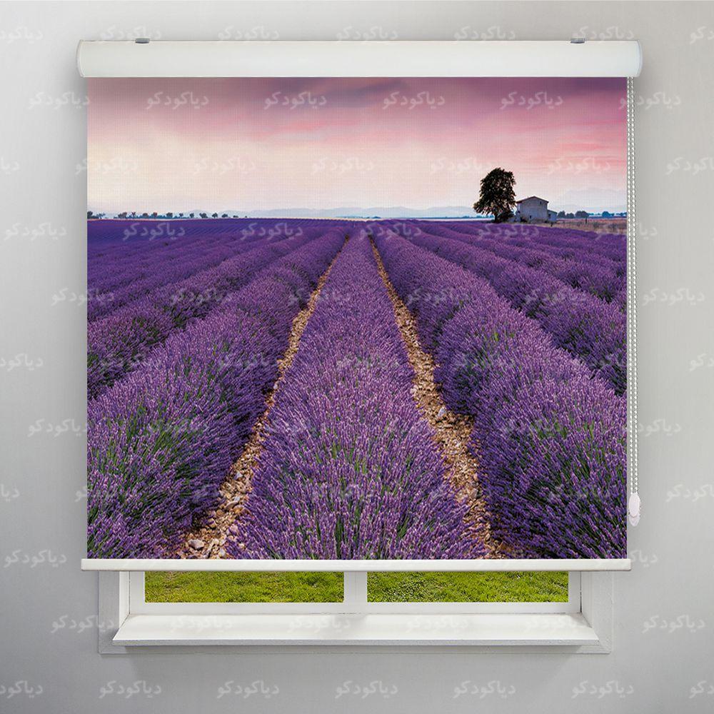 عکس محصول پرده شید طرح طبیعت مزرعه لاوندر کد NAT-10