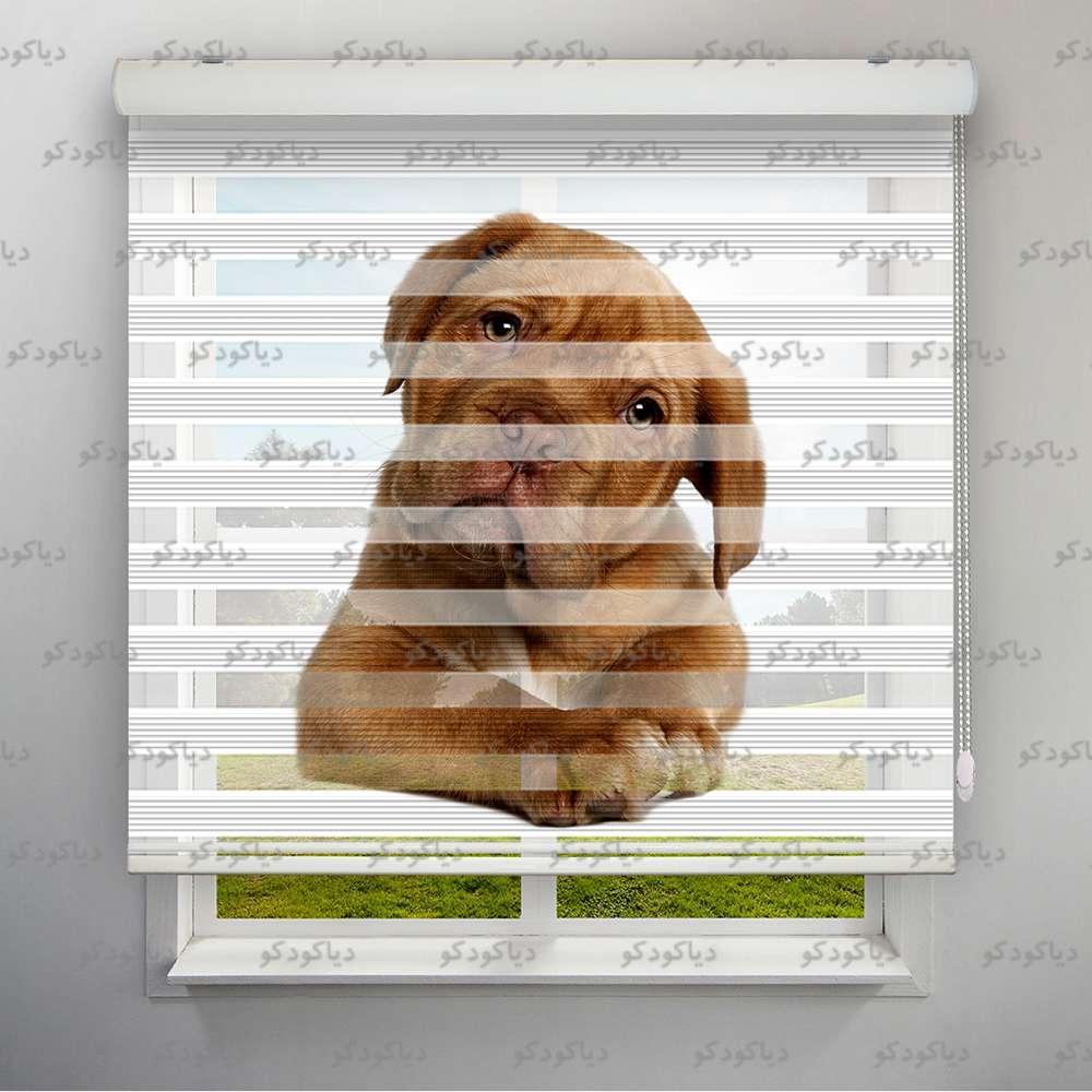 عکس محصول پرده زبرا پلیسه طرح سگ کد ANM-07