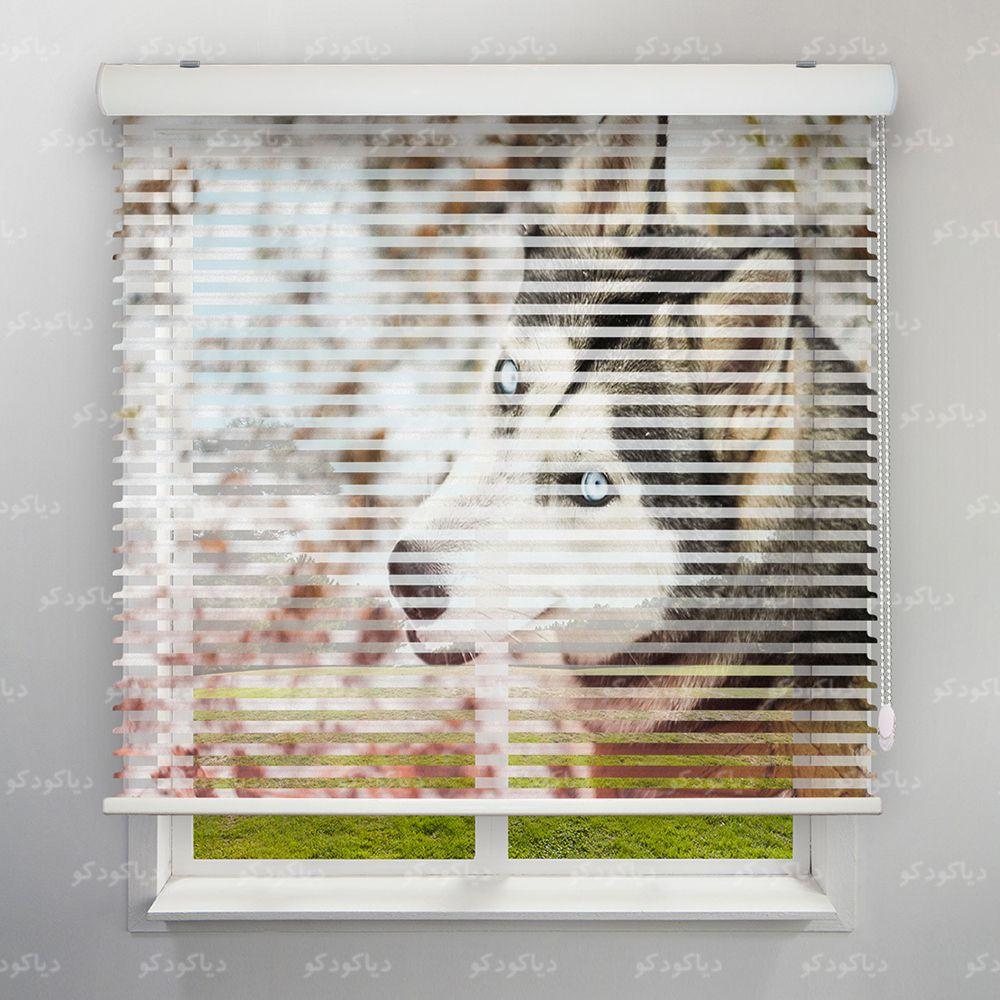 عکس محصول پرده سیلوئت طرح هاسکی کد ANM-04