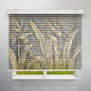 پرده سیلوئت طرح سه بعدی نیزار طلایی کد TRD-01