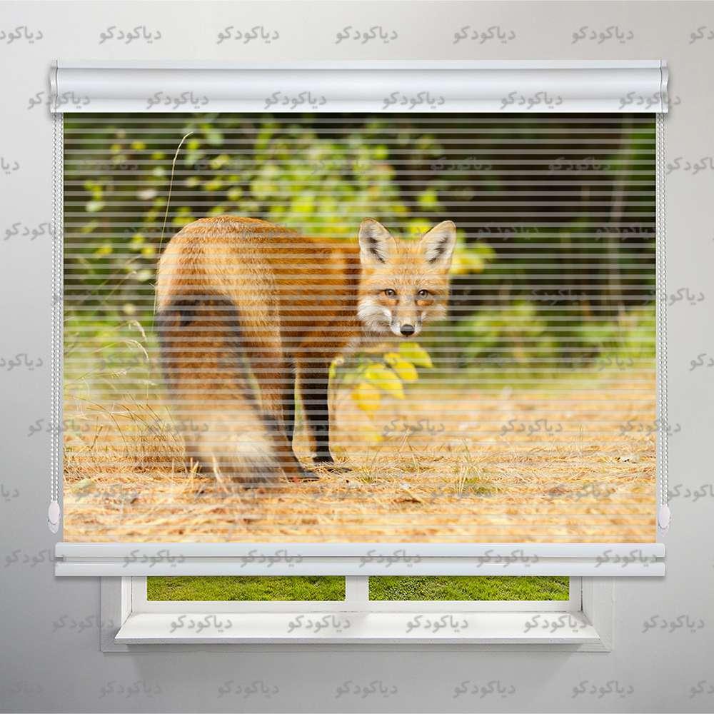 عکس محصول پرده شب و روز طرح روباه کد ANM-11