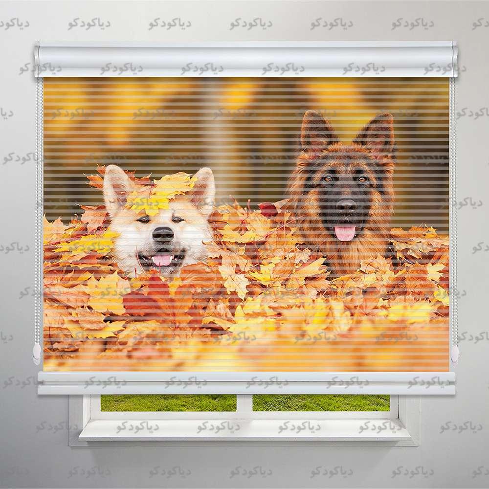 عکس محصول پرده شب و روز طرح سگهای بامزه کد ANM-15