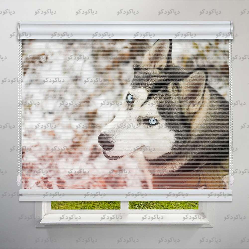 عکس محصول پرده شب و روز طرح هاسکی کد ANM-04