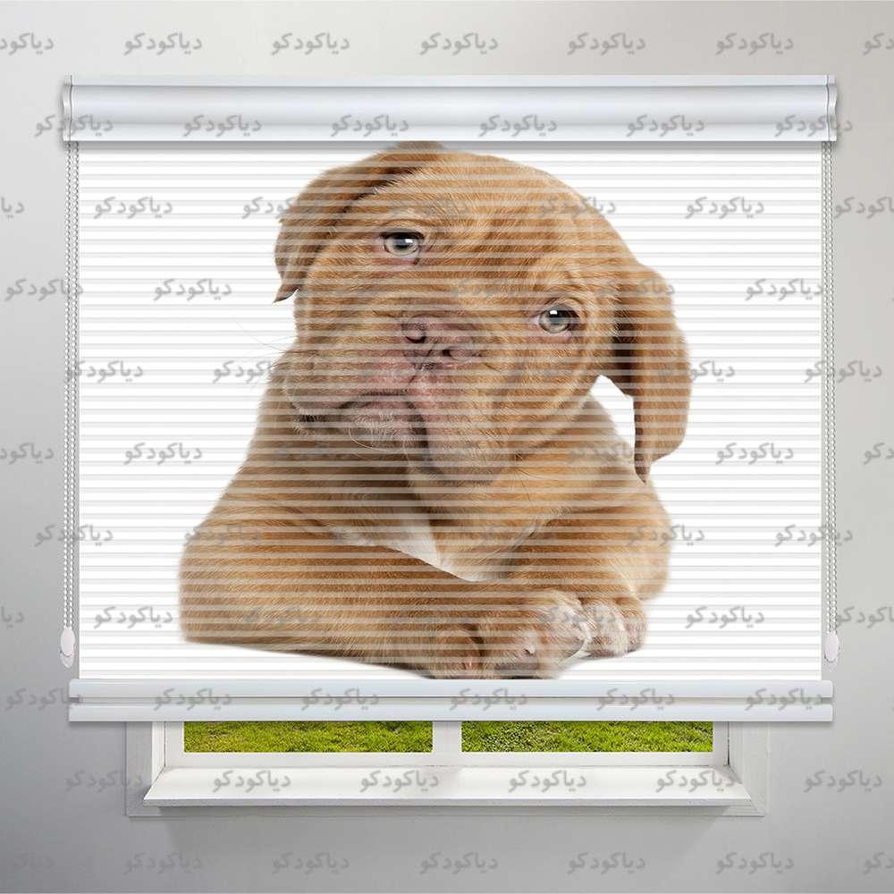 عکس محصول پرده شب و روز طرح سگ کد ANM-07